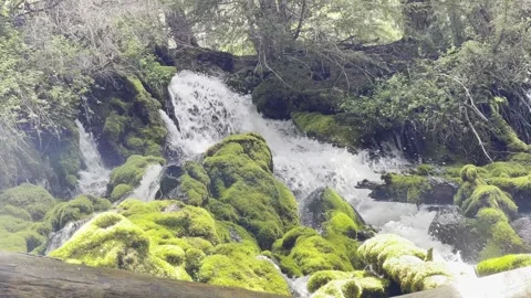 Water fall Stock Footage 156664809