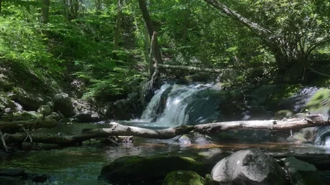 Water fall Stock Footage 196735611