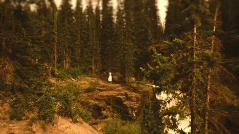 Water Fall Stock Footage 248339803