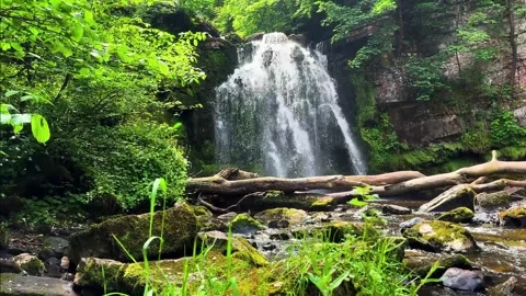 THE WATER FALL Stockbeeldmateriaal 312983898