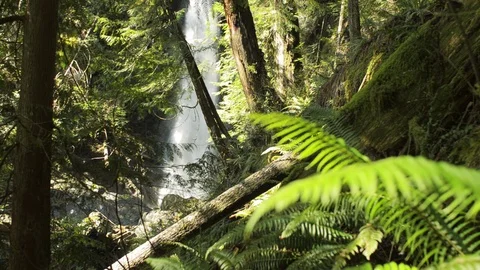 Water fall in the forest Stock Footage 102783310
