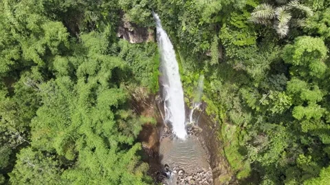 Water Fall in the Forest Stock Footage 149220674