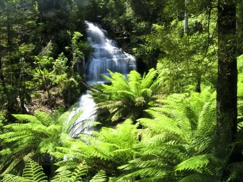 Water fall in forest Stock Photos