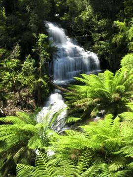 Water fall in forest Stock Photos
