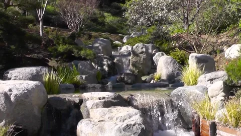Water fall in the garden Stock Footage 316563723