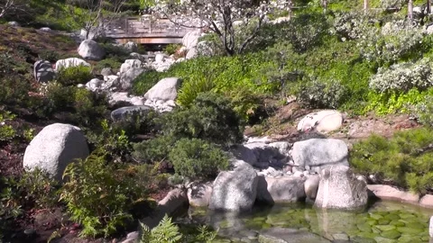 Water fall in the garden Stock Footage 316563725
