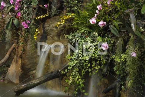 Water fall in garden Stock Photos