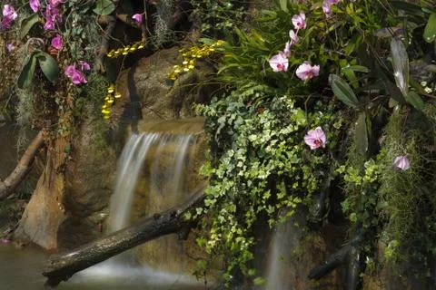 Water fall in garden Stock Photos