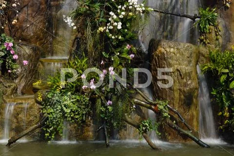 Water fall in garden Stock Photos