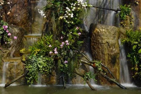 Water fall in garden Stock Photos