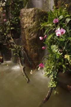 Water fall in garden Stock Photos