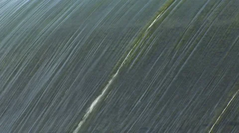 Water Fall HD 스톡 동영상 890461