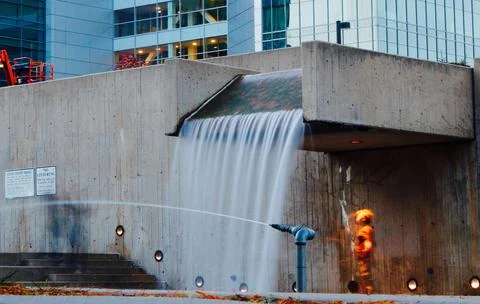 Water Fall Observant Stock Photos