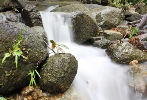 Water fall Stock Photos