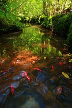 Water fall Stock Photos