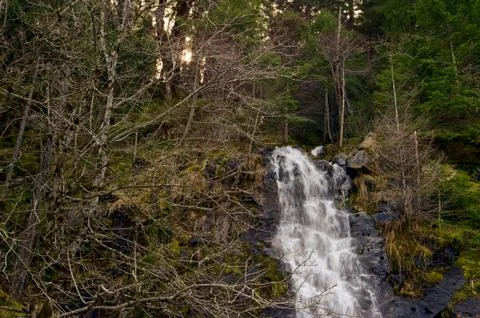 Water fall Stock Photos