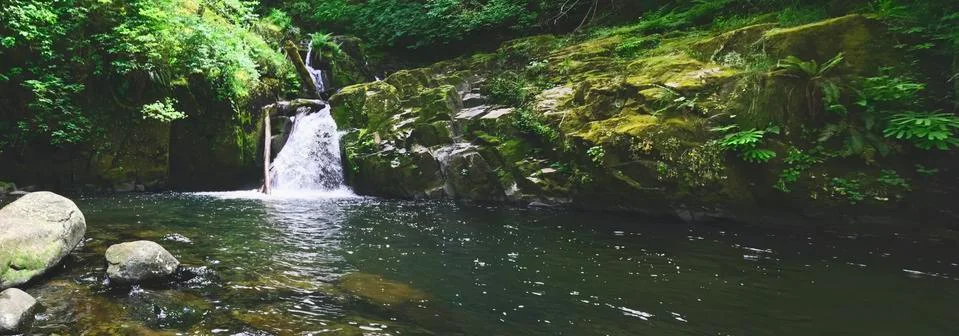 Water fall Stock Photos
