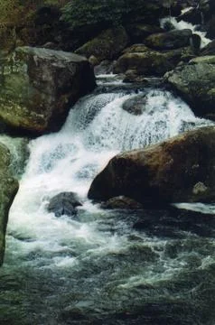 Water Fall Stock Photos