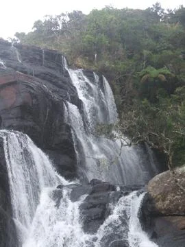 Water fall Stock Photos