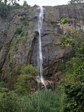 Water fall Stock Photos