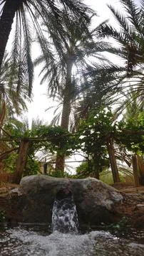 WATER FALL Stock Photos