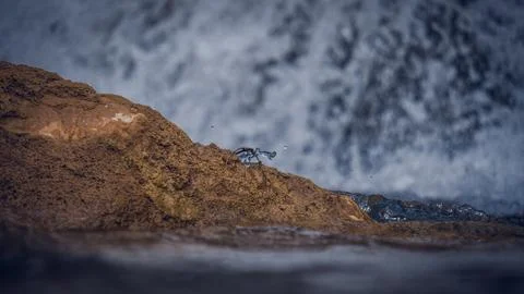 WATER FALL Stock Photos
