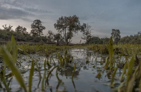 WATER FALL Stock Photos