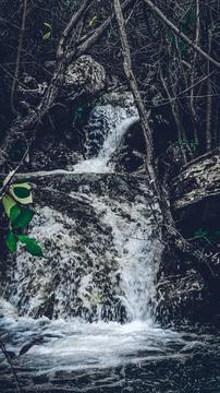 WATER FALL Stock Photos