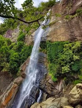The Water fall Foto stock