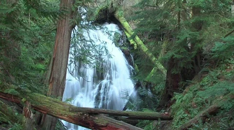 Water Fall reduced shutter speed on Orcas Island Video stock 327680