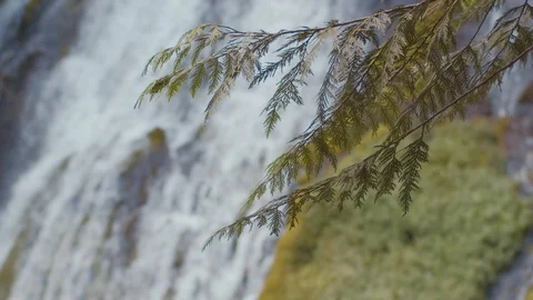 Water fall slow motion. Stock Footage 113250474