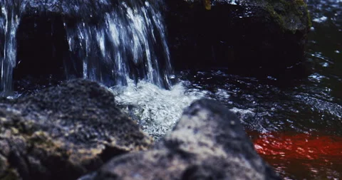 Water fall splashing over volcanic rock with koi fish Stock Footage 330755052