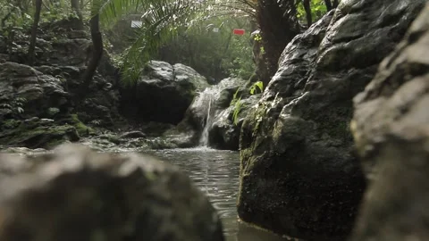 Water fall stream in Jungle Stock Footage 244569763