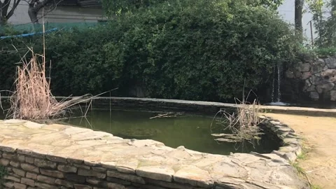 Water Fall by Stream to Small Technical Lake in Park of Nicosia Stock-Footage 101439086