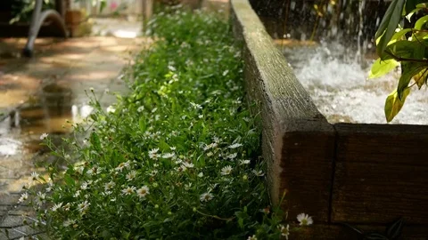 Water falling and splashing with pond in the garden Stock Footage 74284426