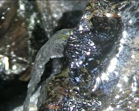 WATER falling AUDIO Video stock 11463934