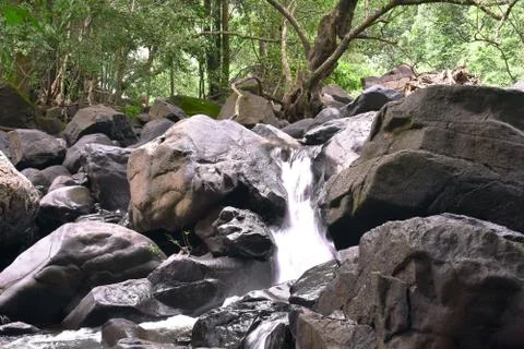 Water falling between the rocks in a dense forest Stock Photos