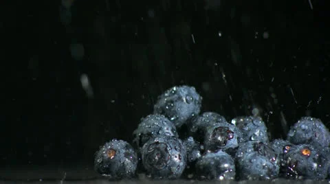 Water falling on blueberries on black background Stock Footage