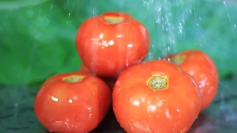 Water falling on bunch of tomatoes isolated Stock Footage 94120643