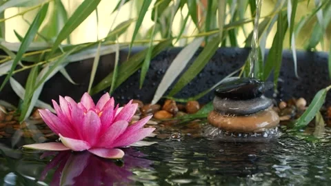 Water falling down on balanced stones, pink lotus lily flower and willow leaves Stock Footage 142670639