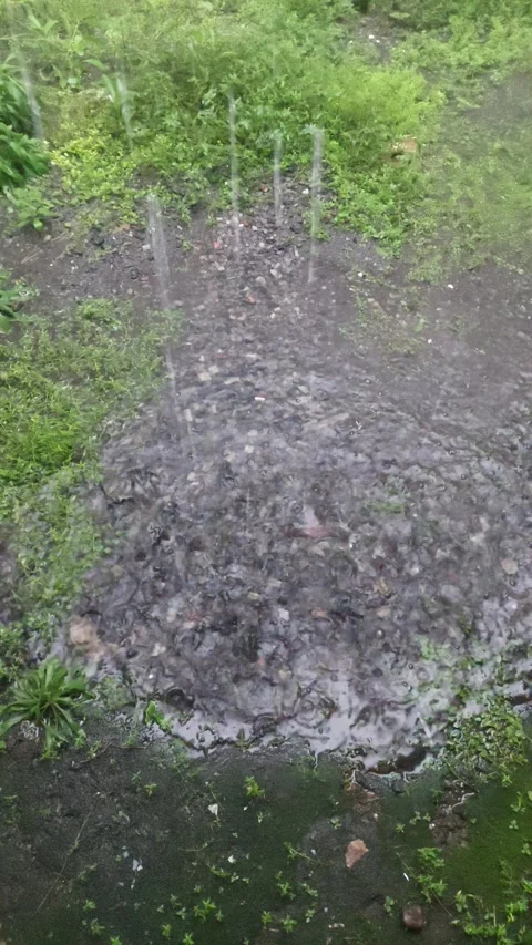 Water Falling down the Earth, Vertical View Stock Footage 296581292