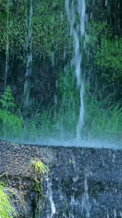 Water falling down a mossy rock ledge Stock Footage 334444342