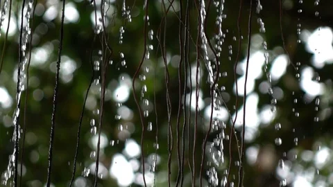 Water falling down, slow motion Stock Footage 91314498