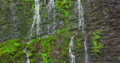 Water falling on a face of cliff Stock Footage 237923717