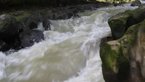 Water falling 動画素材 172210969