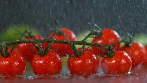 Water falling to fresh tomatoes in super slow motion, shot with high speed Stock Footage 105502263
