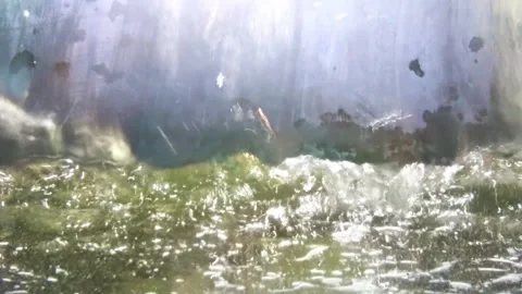 Water falling on glass streaking down to aquarium creating little waterfall Stock Footage 313165654
