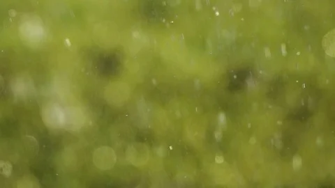 Water falling on grass Stock Footage 89490232