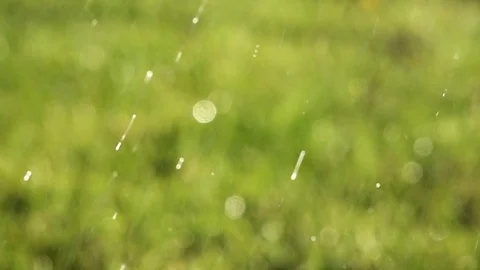 Water falling on grass Stock-Footage 89501791