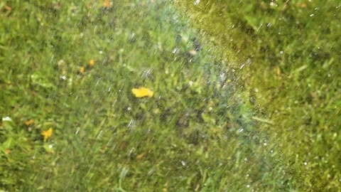 Water falling on grass Stock Footage 89501811